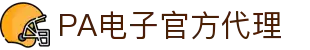PA电子|PA电子官方网站